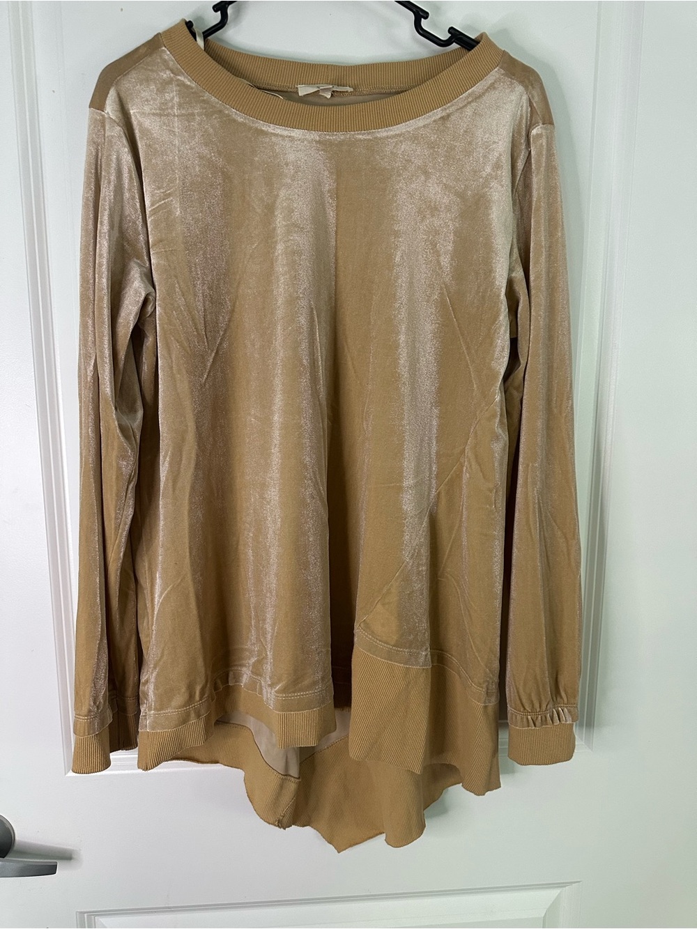 easel Velvet Long-Sleeve Tunic in Tan